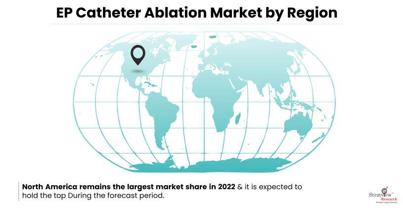 Ep Catheter Ablation Market By Region